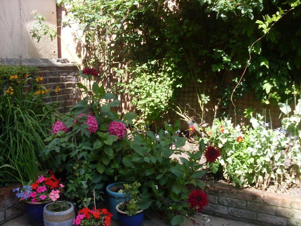 Cambridge House Guest House Истборн Стая снимка