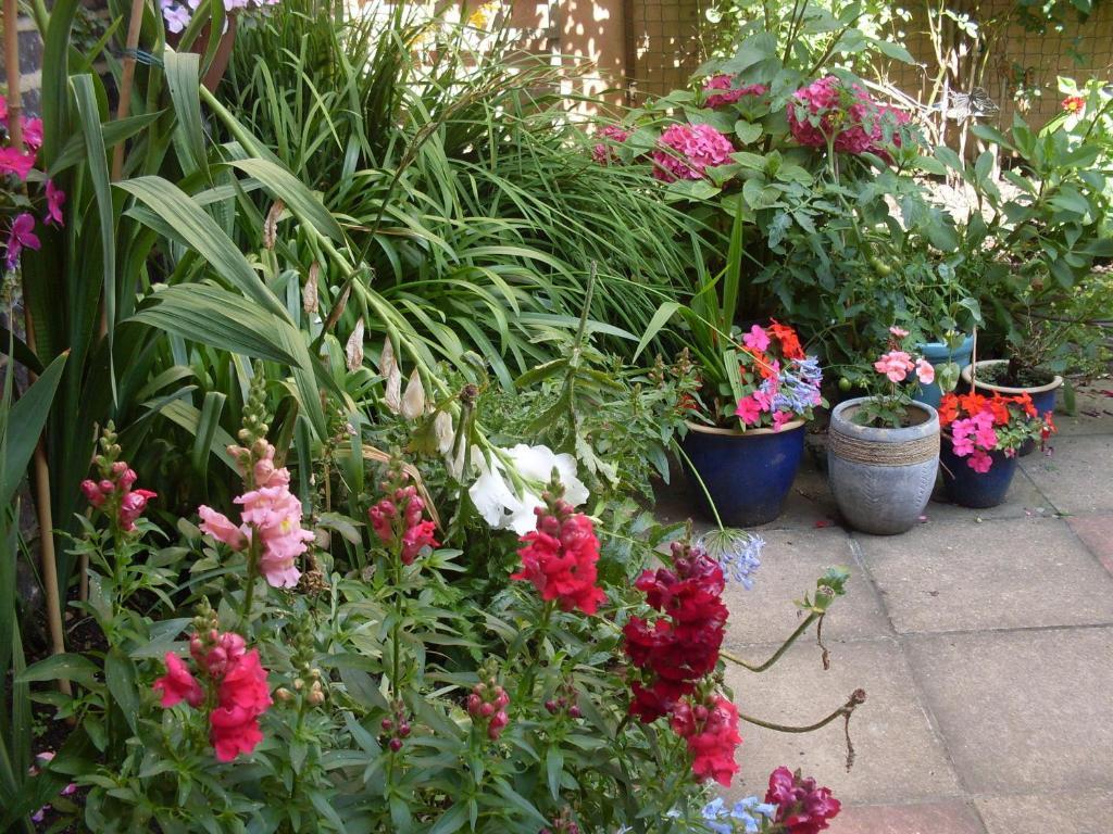 Cambridge House Guest House Истборн Стая снимка